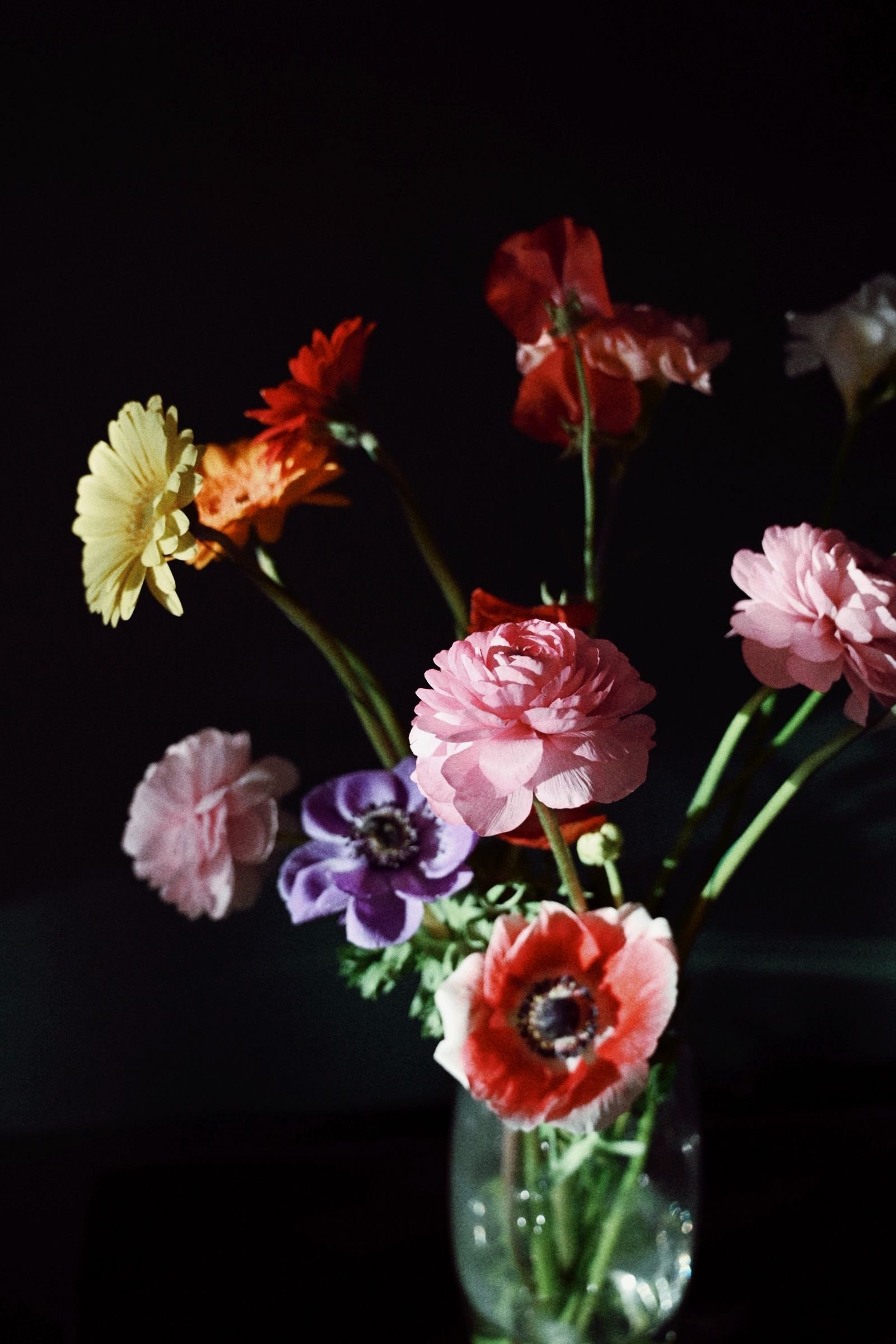 Sculptural arrangement of red, pink and ivory flowers against a dark background