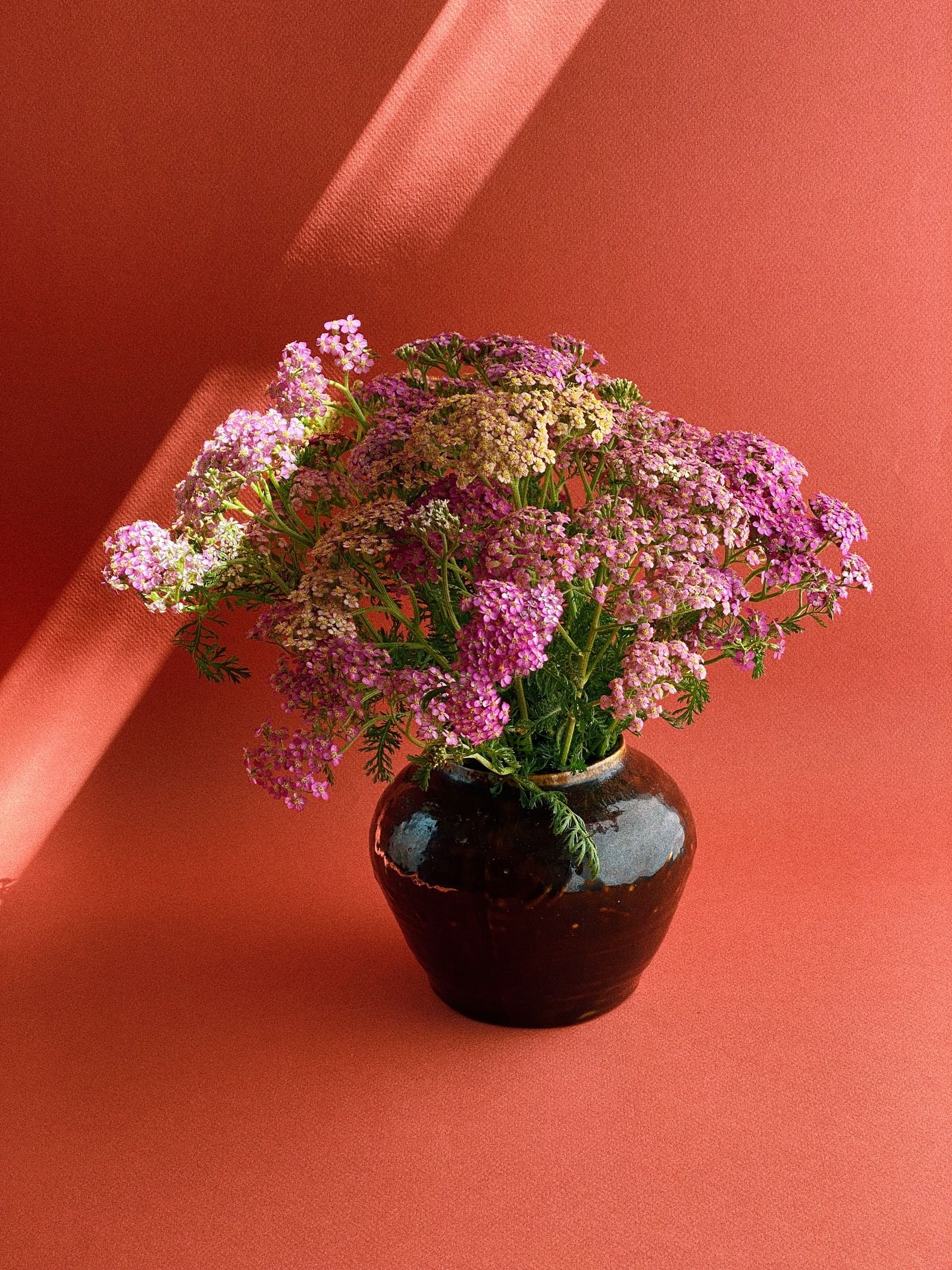 Pink yarrow in a dark sculptural vase against a terracotta backdrop